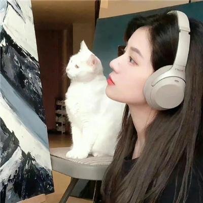 画江湖之杯莫停